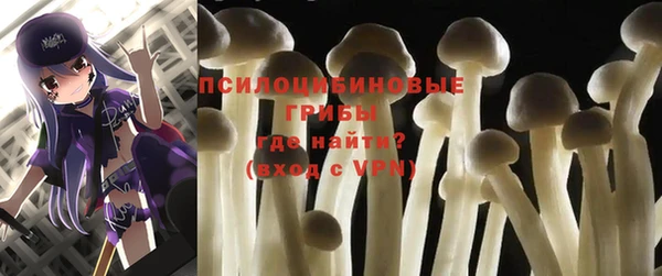 твердый Алексин
