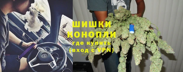 прущие грибы Абдулино