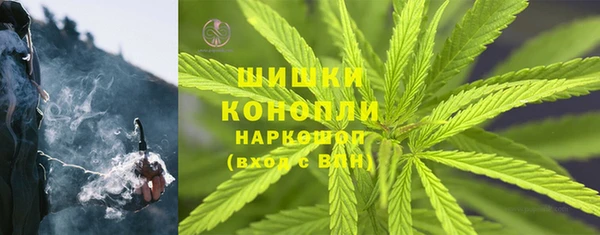 прущие грибы Абдулино