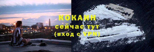 прущие грибы Абдулино